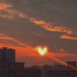 Ảnh đại diện người dùng Nguyễn Thảo